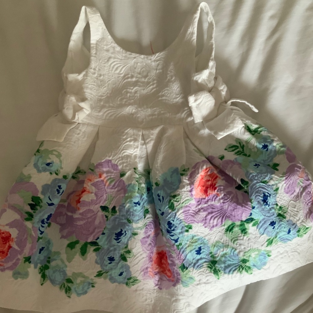 Beautiful Janie and Jack Dress